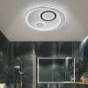 Ceiling Light