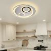 Ceiling Light
