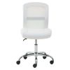 Mid-Back, Vinyl Mesh Task Office Chair