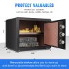 1.2 Cub Wall or Floor Mounting Safe for Personal Home
