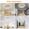 Ceiling Light